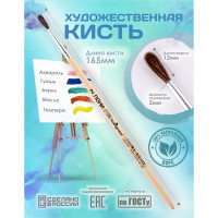   ,    2 (  2 ;   12 ),  , Calligrata