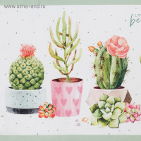  ""  30*70 , 100% ,  190 /2