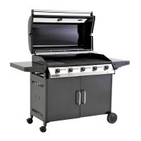   Beefeater 1000r Series (5 )