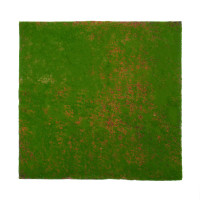  , ,  1 1 , ,   , Greengo