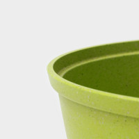  Trendy Style, 4 ,  ,  ,  