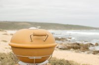  - Earthfire Pizza Oven