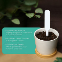 �������� �������, ��� ���������� ��������, 12 ��, ����� 20 ��., �������, �����, Greengo