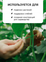  , 10 ,   100 ., , Greengo