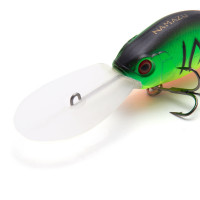  Namazu Guttatus, L-65 , 15 , , , 3.5-5.0 ,  2