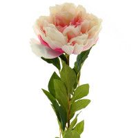   , D25 , L24 W24 H117 