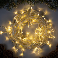   10 , Ip20,  , 100 Led, 8 , 220 ,   