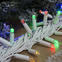   10 , Ip65, ,  , 100 Led,  , 220 