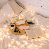   10 , Ip20,  , 100 Led, 8 , 220 ,   