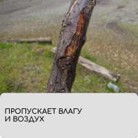  , 10 0.08 ,  60 / ,   -, , Greengo,  20%