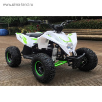    Motax Gekkon 1300w, -