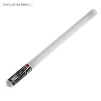   Rev Led, 8, G13, 10 , 6500 , 600 ,  