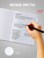  96   , Calligrata  2, 