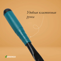  ,  30 ,  , Greengo