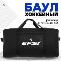   Efsi 3