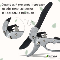 , 8 (20 ),   ,  , Greengo