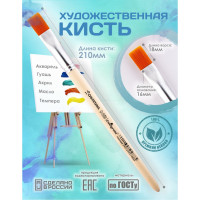   ,   16 (  16 ;   18 ),  , Calligrata