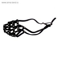      3, , (   11 ,   30 )