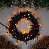   10 , Ip20,  , 100 Led, 8 , 220 ,  