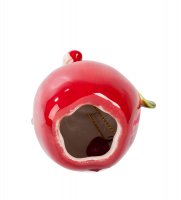 Cms-36/ 2  - (pavone)