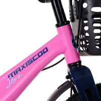  14 Maxiscoo Jazz Pro,   