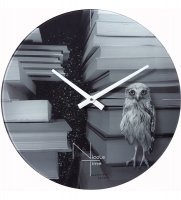 Slt-14   owl