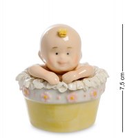 Cms-27/28     (pavone)