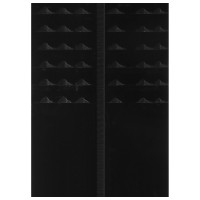 ���� ������-����������� �������, 155 ��, � ��������, ����� ����