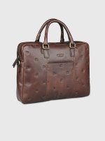  Mano Don Leon,     , 41  29,5  8,5 