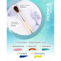   ,    6 (  6 ;   22 ),  , Calligrata