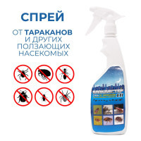 ����� Xxl, �� ��������� � ��������� ���������, ����������, ������, 700 ��