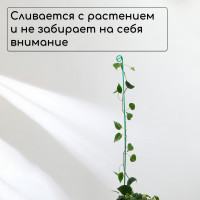    , H=100 , D=3  , , , Greengo