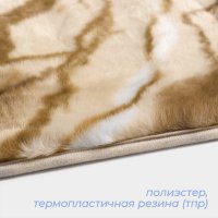    Savanna , 40x60 ,  