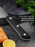 ��� �������� ������������� Magistro Hinshitsu, ����������� �����, ������ 15.7 ��, ����� 29 ��, ������