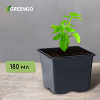   , 180 , 7 7 6.5 , , Greengo