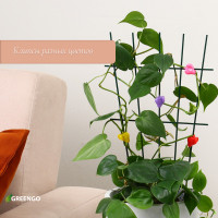 ������ ��� �������� ���������, ����� 10 ��., ����, Greengo