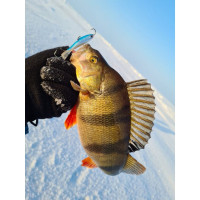  Lucky John Nordic 4, 4 ,  15h