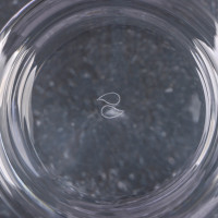      , 240 , D=9 