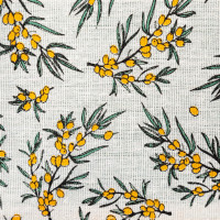    "Fresh Sea Buckthorn", 41*20 