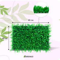  , 60 40 , , Greengo