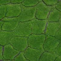  , ,  1 1 , , , , Greengo