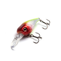 ������ Namazu Astropilot, L-45 ��, 5.5 �, �����, ���������, 0,5-1.5�, ���� �4