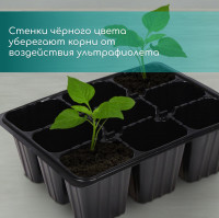   , 9   80 , , , 18 13 6 , Greengo