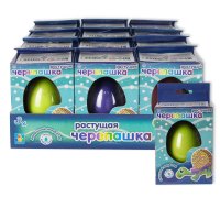 1toy  ,   .  6., 12  