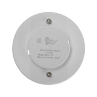   Rsv-gx53-8w-3000k