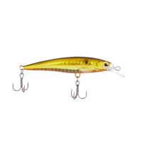  Namazu Anger, 7.5 , 6 , ,  (0.5-1.5 ),  13