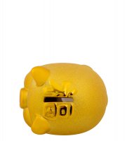 Gp-01    -  