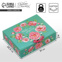 ������� ����������, ��������, ����� �� ��������, 31 � 24.5 � 8 ��