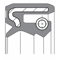   Ariete 41  53  11 Tc4