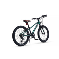  20 Maxiscoo 7bike M200,  